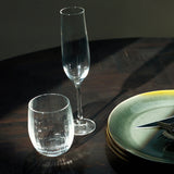 F2D Champagneglas 19cl Transparant Optic (set van 2)