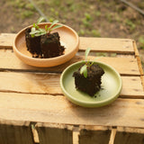 Tapasschaaltje groot Mento x Erloom (set van 2)