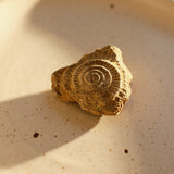 Dinerbord Mento x Terroir by Tobias Camman (set van 2)